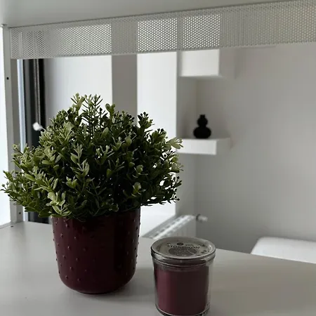 Apartamento Business *
